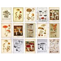 Scrapbooking dekoratív papír blokkban - C típus, 60 db