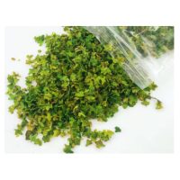 Scrapbooking művészi miniatűr lapok - Szám 1, zöld