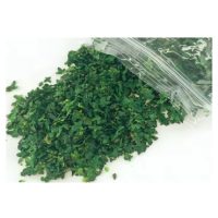 Scrapbooking művészi miniatűr lapok - Szám 2, sötétzöld