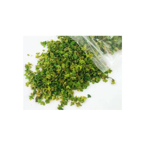 Foto - Scrapbooking művészi miniatűr lapok - Szám 1, zöld