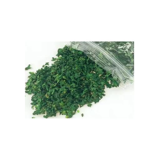 Foto - Scrapbooking művészi miniatűr lapok - Szám 2, sötétzöld