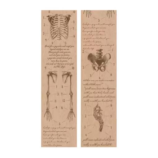 Foto - Scrapbooking Vintage ragasztószalag - Test anatómia, 01